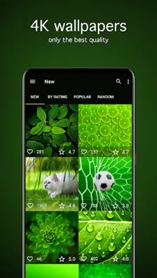 Green Wallpapers 4K android App screenshot 4