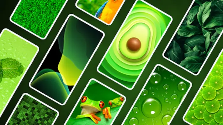 Green Wallpapers 4K android App screenshot 5